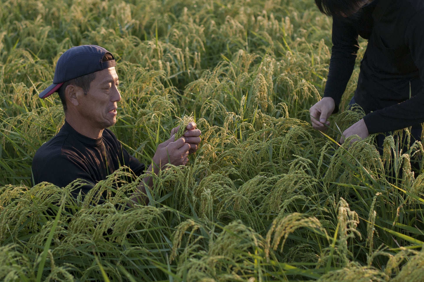 ★[2023 Rice] Naturally Grown Rice by Kazuhiro Matsumoto Asahi