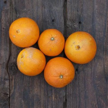 自然栽培ネーブルオレンジ（福島さん）