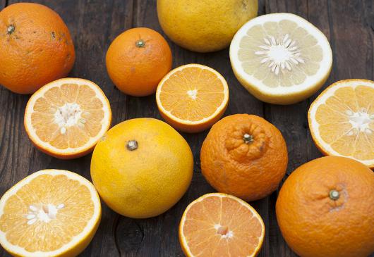 自然栽培おまかせ柑橘ボックス　熊本県産　３種　３～４kg