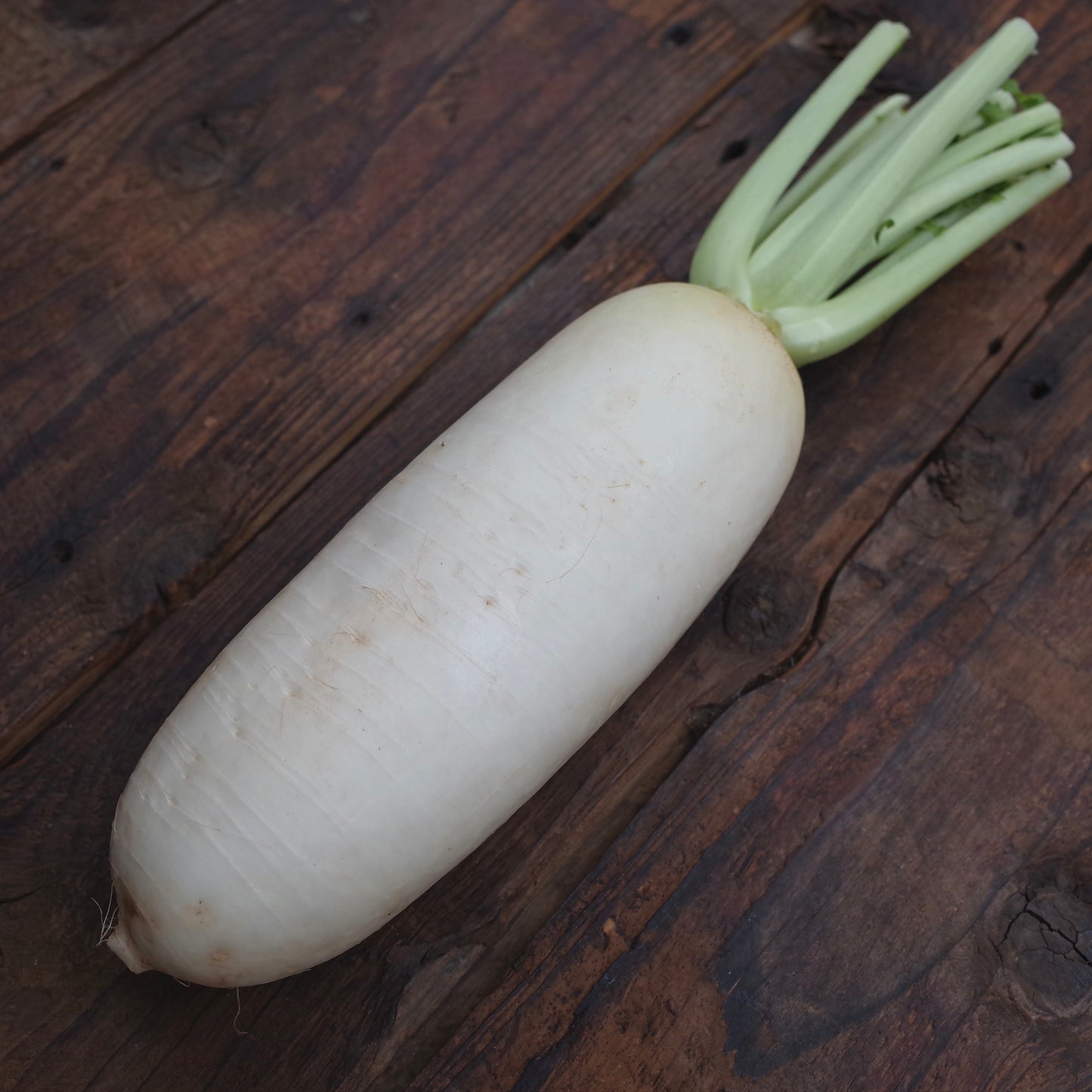 Naturally grown radish (Yamazaki)