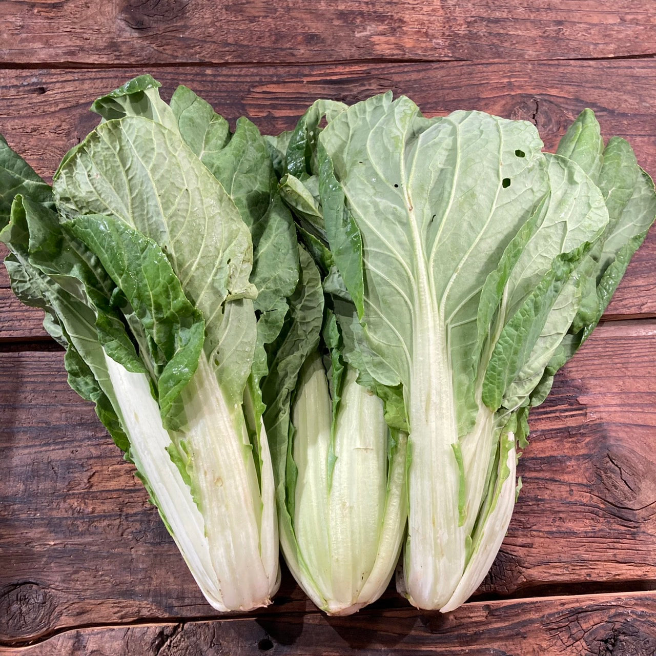 自然栽培しら菜（上野さん）