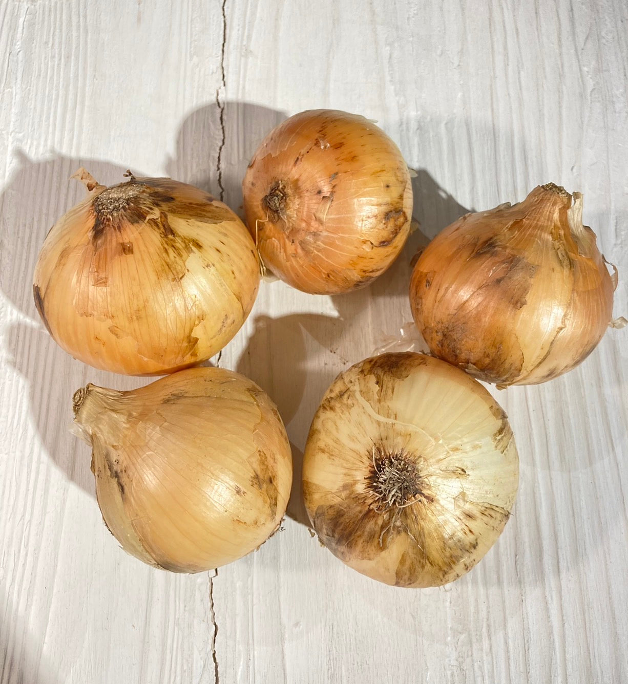Naturally grown salad onions, 1 pack, 1kg (Yamazaki-san)