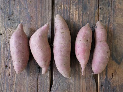 自然栽培ムラサキイモ（上野さん）