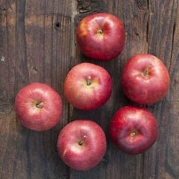 6 apples (Jonagold) grown with reduced pesticides and no chemical fertilizers (approx. 1.8 kg)