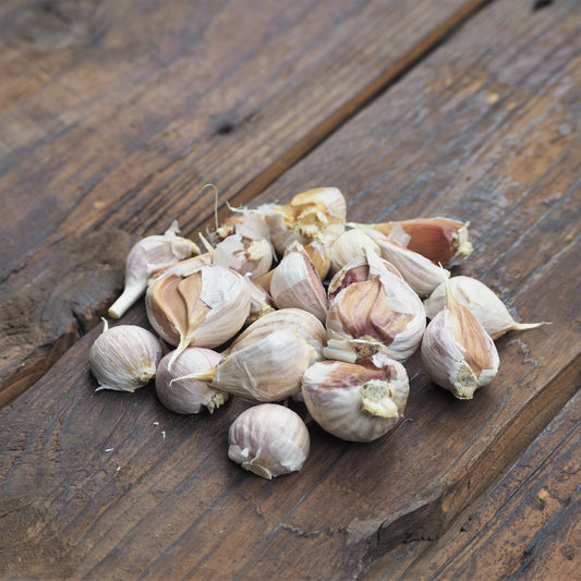 Naturally grown garlic roses (by Kawagoe) 