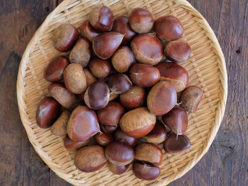 Chestnuts grown without pesticides or fertilizers (by Ikeda)