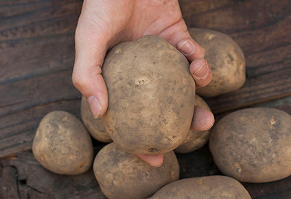 Naturally grown potatoes by Dejima (Mr. Matsumoto) 