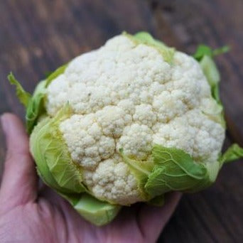 Organically grown cauliflower (Sato Organic) 