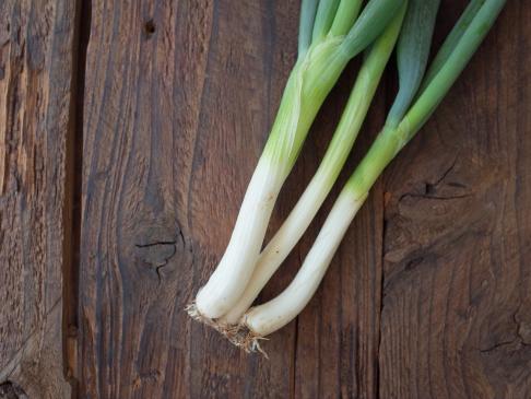 Organically grown Kujo green onions (Sato Organic) 