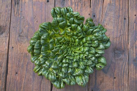 Naturally grown tatsoi