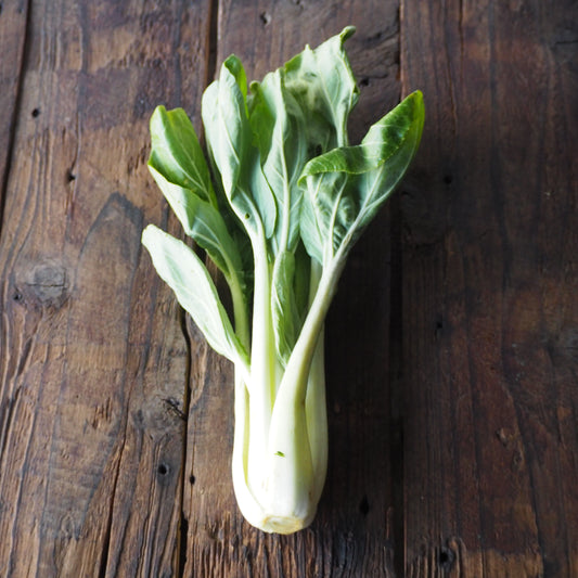 自然栽培パクチョイ（上野さん）