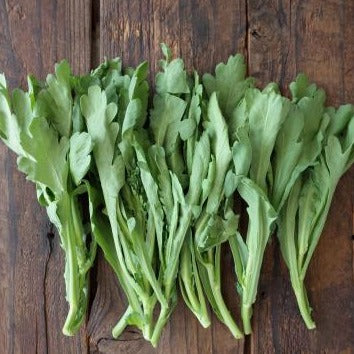 有機栽培春菊（さとう有機）