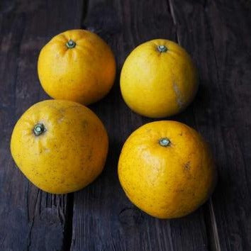Naturally grown Kawachi mandarin oranges (by Fukushima)
