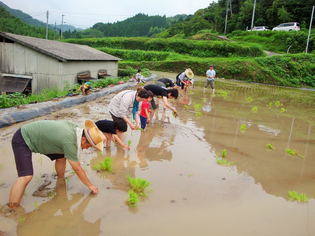 ★【2023年米】河地和一さん　自然栽培米ヒノヒカリ